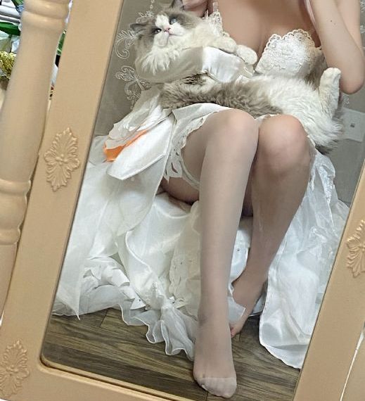 黄色小说白洁