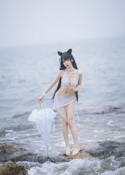 电视剧家有九凤全集在线观看